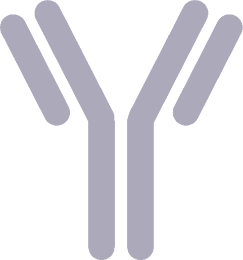 Liedl Lab